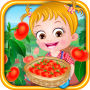 icon Baby Hazel Tomato Farming