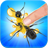 icon Ant Clash 1.0.8