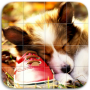 icon Dogs Puzzle