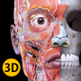 icon Anatomy 3D Atlas for LG Stylo 3 Plus