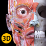 icon Anatomy 3D Atlas for Teclast Master T10