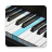 icon Real Piano 5.41.26