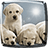 icon Puppies Live Wallpaper 6.0