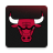 icon Chicago Bulls 4.0.13