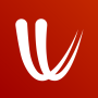 icon Windy.com - Weather Forecast for intex Cloud Force