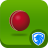 icon Cricket 1.2