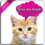 icon Cat translator (prank)
