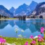 icon Nature HD Pictures for Gionee P7