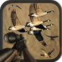 icon Birds Hunting Sniper Season