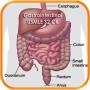 icon Gastrointestinal USMLE S2CK QA